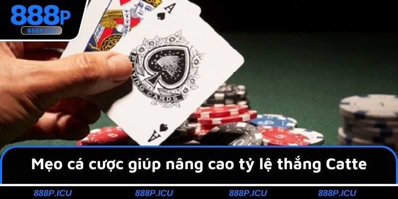 Mẹo cá cược giúp nâng cao tỷ lệ thắng Catte
